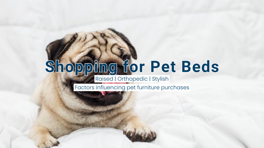 Best Pet Beds