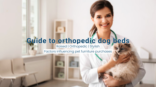 Orthopedic Dog Beds