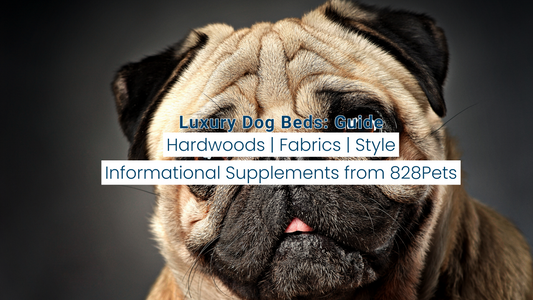 Luxury Dog Beds for Adult Dogs: Comfort and Style Combined