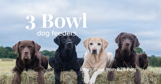 3 Bowl Dog Feeders