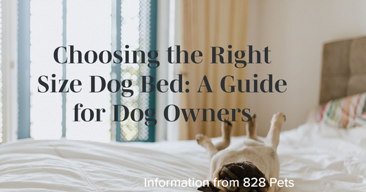 Match the bed to your dog's breed or size category: Some dog breeds have specific needs due to their size, body shape, or predisposition to certain health conditions. Look for beds designed specifically for your dog's breed or size category.