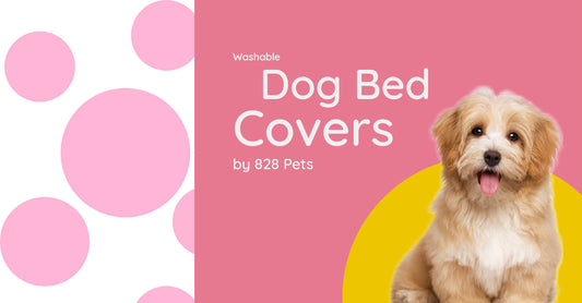 Dog Beds with Washable Covers