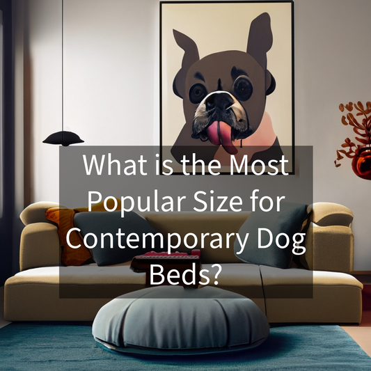 What is the Most Popular Size for Contemporary Dog Beds?